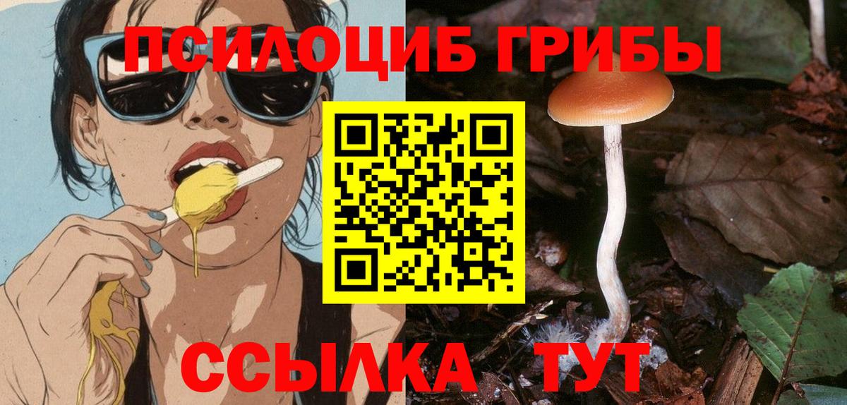 Галлюциногенные грибы ЛСД  Вход с VPN  Лабинск  Псилоцибиновые грибы прущие грибы 